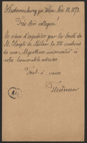 Anteprima dell'oggetto