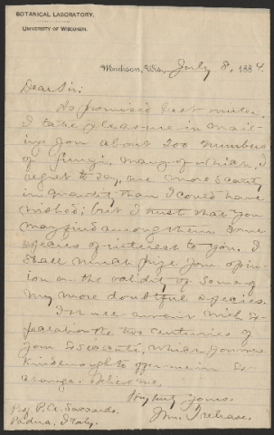 Anteprima dell'oggetto