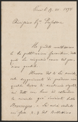 Anteprima dell'oggetto