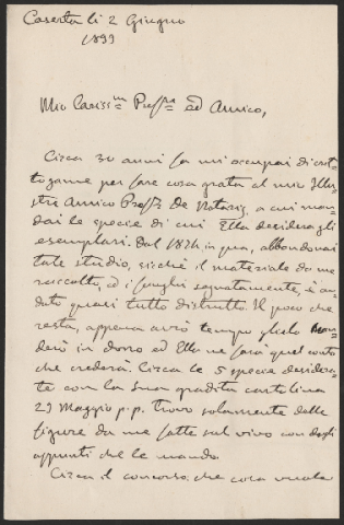 Anteprima dell'oggetto