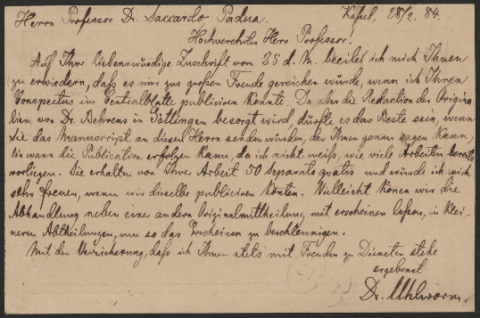 Anteprima dell'oggetto