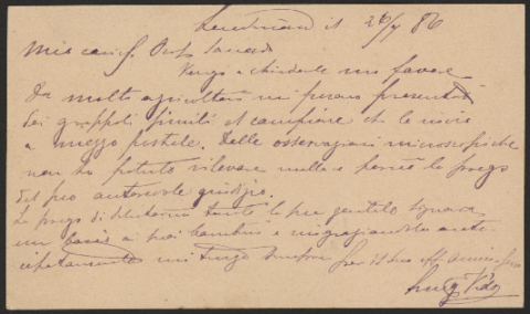 Anteprima dell'oggetto