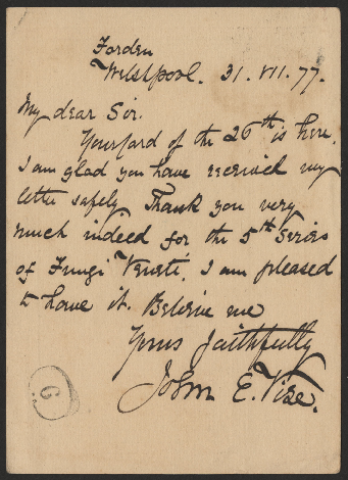 Anteprima dell'oggetto