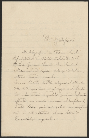 Anteprima dell'oggetto