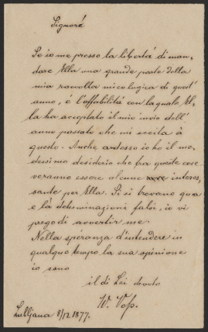 Anteprima dell'oggetto