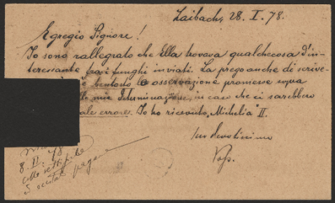 Anteprima dell'oggetto