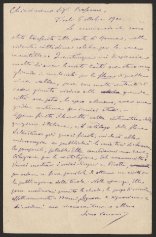 Anteprima dell'oggetto