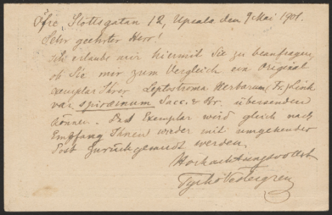 Anteprima dell'oggetto