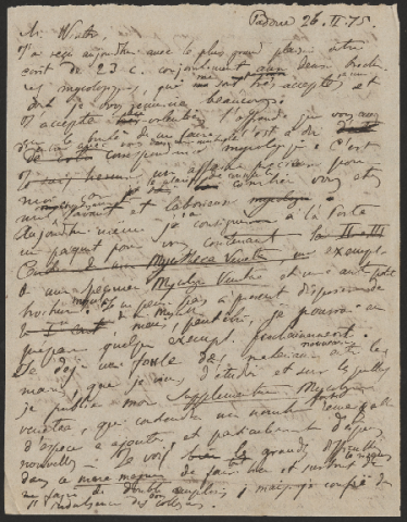 Anteprima dell'oggetto