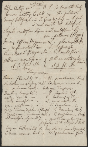 Anteprima dell'oggetto