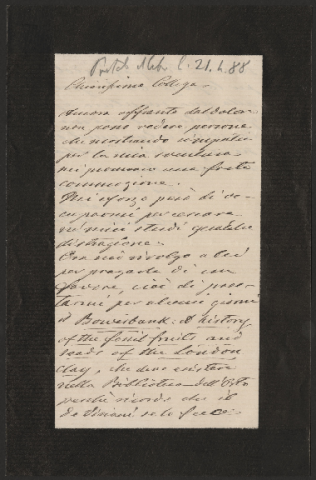 Anteprima dell'oggetto