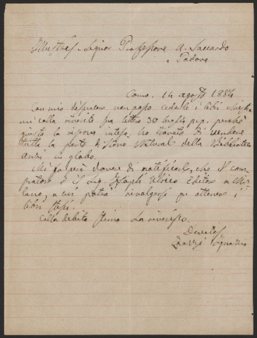 Anteprima dell'oggetto