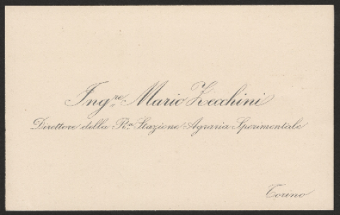 Anteprima dell'oggetto