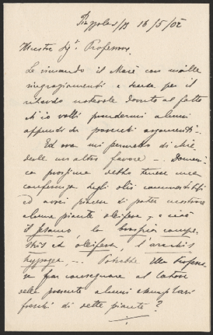 Anteprima dell'oggetto