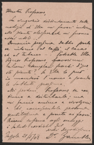 Anteprima dell'oggetto