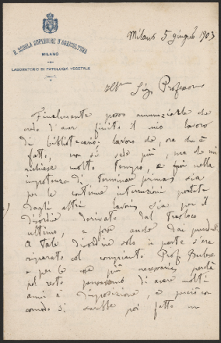 Anteprima dell'oggetto