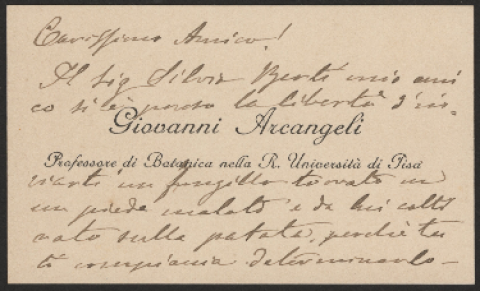 Anteprima dell'oggetto