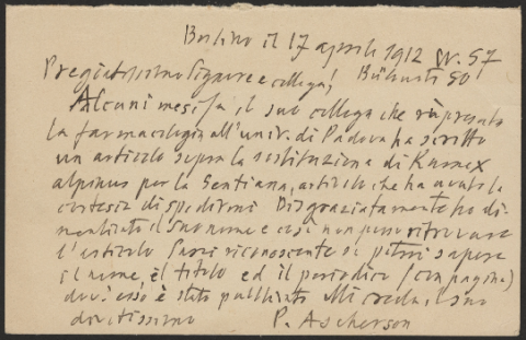 Anteprima dell'oggetto