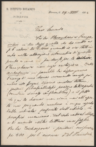 Anteprima dell'oggetto