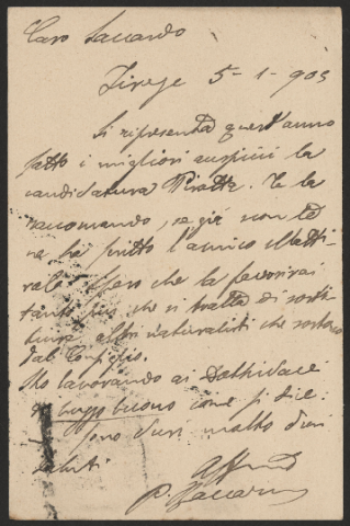 Anteprima dell'oggetto