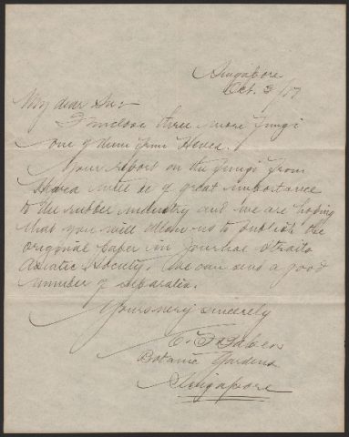 Anteprima dell'oggetto