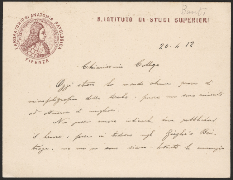 Anteprima dell'oggetto