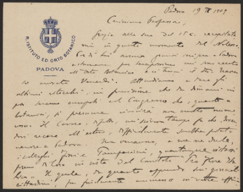 Anteprima dell'oggetto