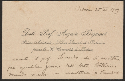 Anteprima dell'oggetto