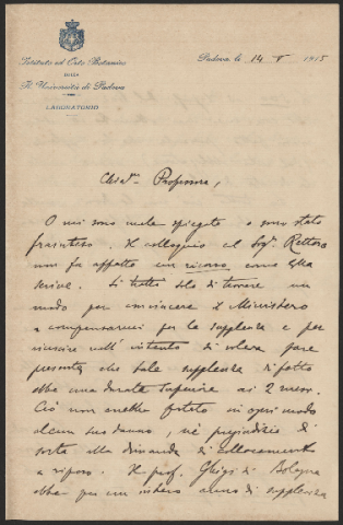 Anteprima dell'oggetto