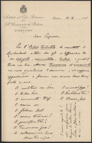 Anteprima dell'oggetto