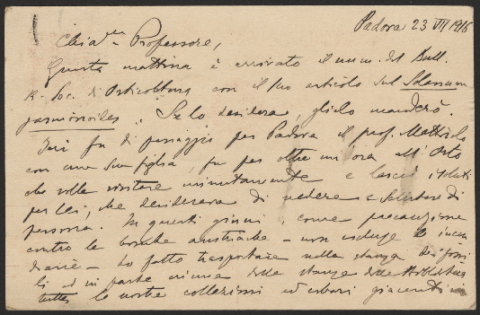 Anteprima dell'oggetto