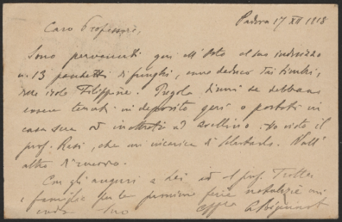 Anteprima dell'oggetto