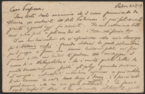 Anteprima dell'oggetto