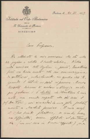 Anteprima dell'oggetto