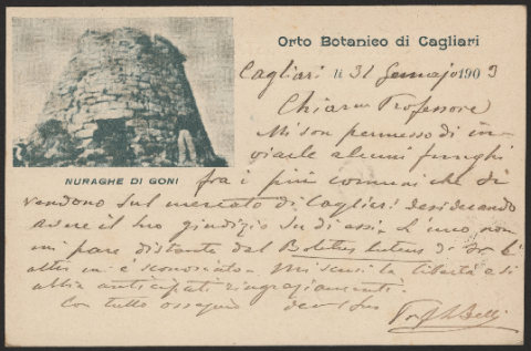 Anteprima dell'oggetto