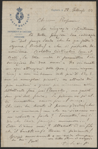 Anteprima dell'oggetto