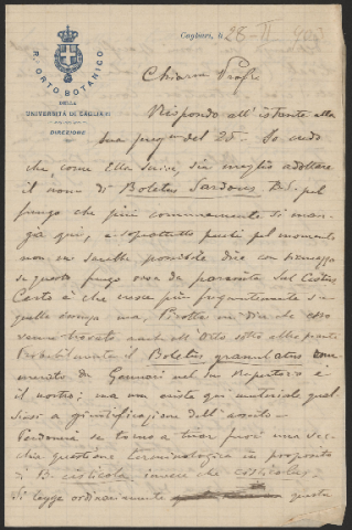 Anteprima dell'oggetto