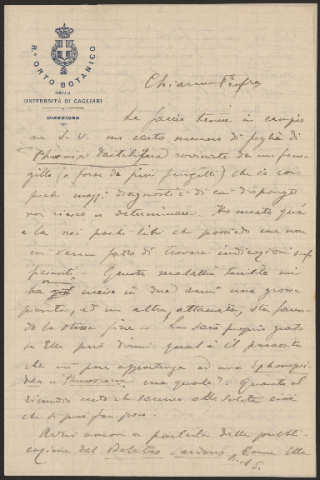 Anteprima dell'oggetto