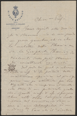 Anteprima dell'oggetto