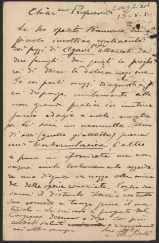 Anteprima dell'oggetto