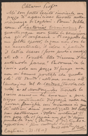 Anteprima dell'oggetto