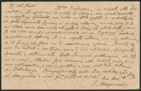 Anteprima dell'oggetto