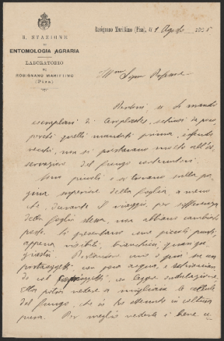 Anteprima dell'oggetto