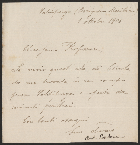 Anteprima dell'oggetto