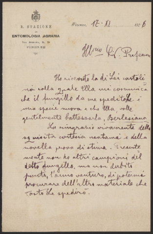 Anteprima dell'oggetto