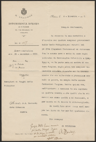 Anteprima dell'oggetto