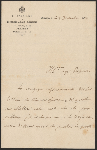 Anteprima dell'oggetto