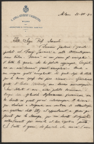 Anteprima dell'oggetto