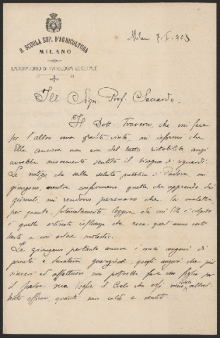 Anteprima dell'oggetto