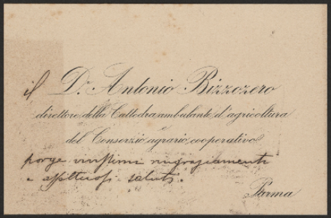 Anteprima dell'oggetto